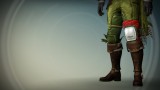 Image Destiny