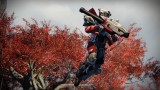 Image Destiny
