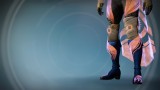 Image Destiny