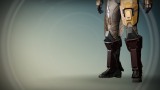 Image Destiny
