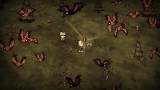 Image Don't Starve Together