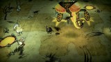 Image Don't Starve Together
