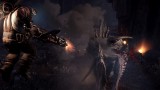 Image Evolve
