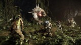 Image Evolve