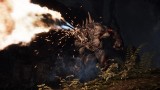 Image Evolve