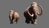 Image Far Cry Primal