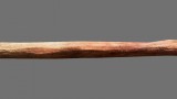 Image Far Cry Primal