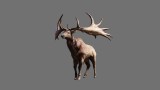 Image Far Cry Primal