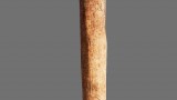 Image Far Cry Primal