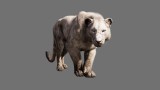 Image Far Cry Primal