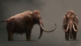 Image Far Cry Primal