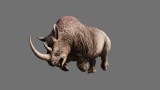 Image Far Cry Primal