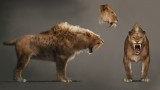 Image Far Cry Primal
