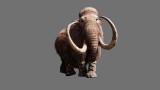 Image Far Cry Primal