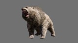Image Far Cry Primal