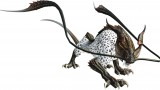 Image Final Fantasy XIV : A Realm Reborn