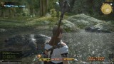 Image Final Fantasy XIV : A Realm Reborn