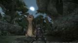 Image Final Fantasy XIV : A Realm Reborn