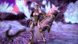 Image Final Fantasy XIV : A Realm Reborn