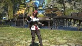 Image Final Fantasy XIV : A Realm Reborn