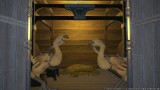 Image Final Fantasy XIV : A Realm Reborn