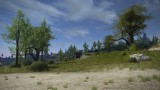 Image Final Fantasy XIV : A Realm Reborn