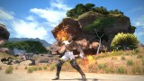 Image Final Fantasy XIV : A Realm Reborn