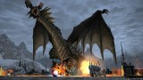 Image Final Fantasy XIV : A Realm Reborn