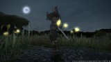 Image Final Fantasy XIV : A Realm Reborn