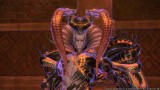 Image Final Fantasy XIV : A Realm Reborn