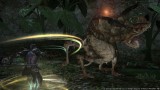 Image Final Fantasy XIV : A Realm Reborn