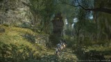 Image Final Fantasy XIV : A Realm Reborn