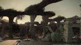 Image Final Fantasy XIV : A Realm Reborn