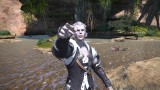Image Final Fantasy XIV : A Realm Reborn