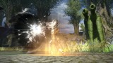 Image Final Fantasy XIV : A Realm Reborn