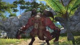 Image Final Fantasy XIV : A Realm Reborn