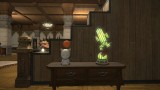 Image Final Fantasy XIV : A Realm Reborn