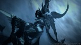 Image Final Fantasy XIV : A Realm Reborn