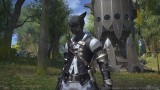 Image Final Fantasy XIV : A Realm Reborn