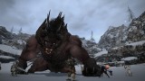 Image Final Fantasy XIV : A Realm Reborn