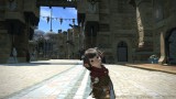 Image Final Fantasy XIV : A Realm Reborn