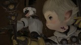 Image Final Fantasy XIV : A Realm Reborn