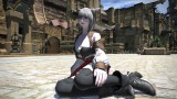 Image Final Fantasy XIV : A Realm Reborn