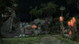 Image Final Fantasy XIV : A Realm Reborn