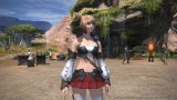 Image Final Fantasy XIV : A Realm Reborn