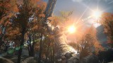 Image Final Fantasy XIV : A Realm Reborn