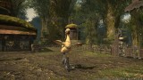 Image Final Fantasy XIV : A Realm Reborn