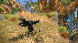 Image Final Fantasy XIV : A Realm Reborn