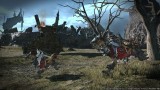 Image Final Fantasy XIV : A Realm Reborn