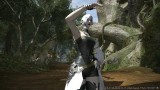 Image Final Fantasy XIV : A Realm Reborn